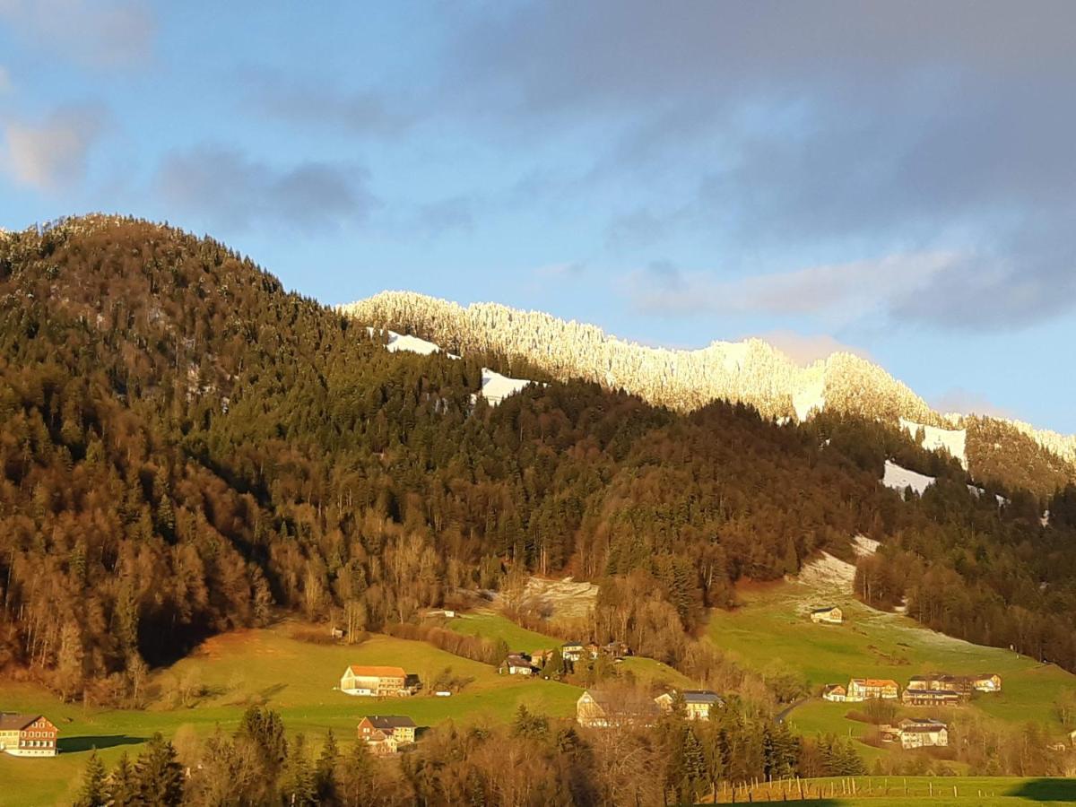 Gmeiner Hittisau