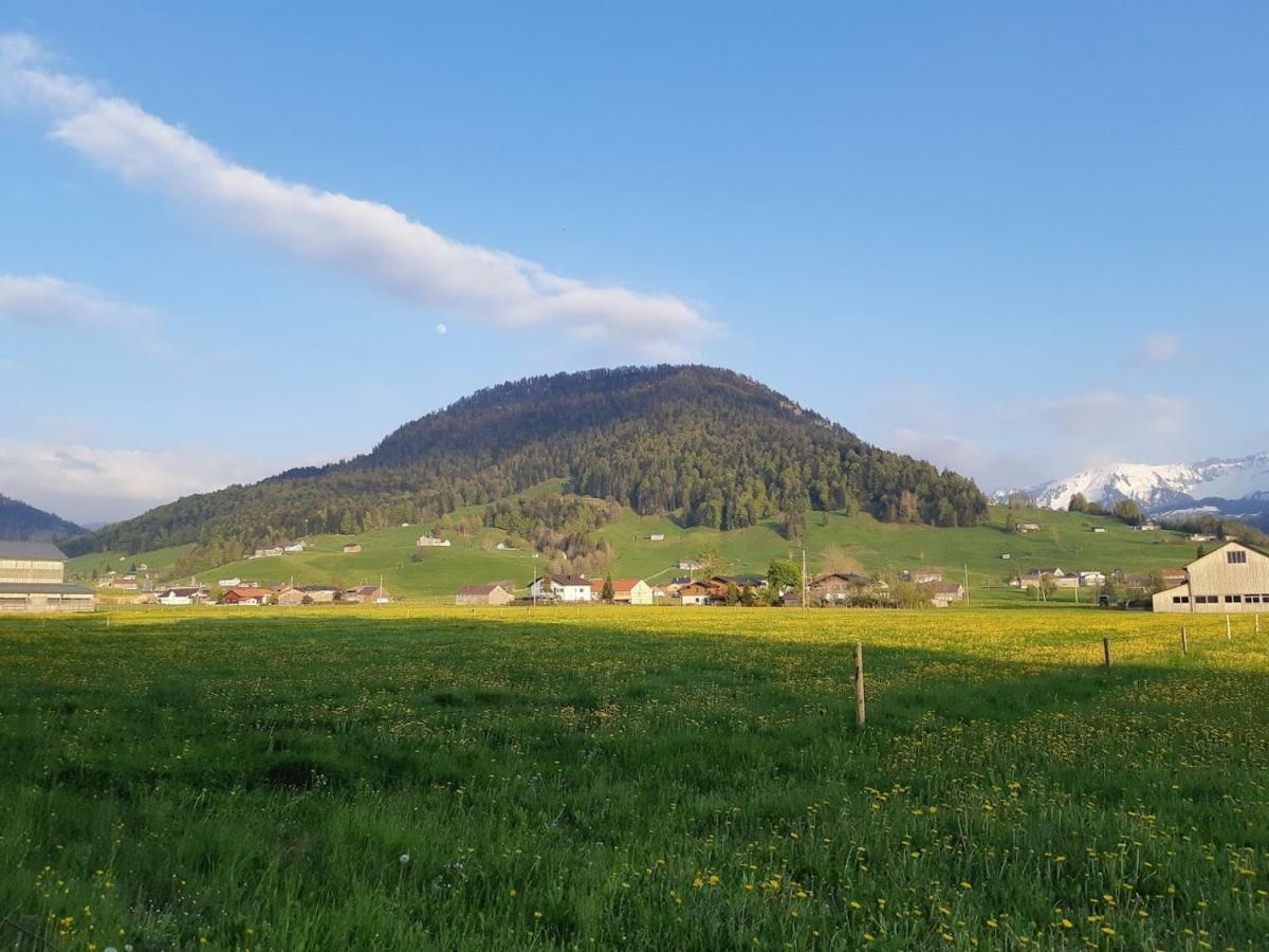 Gmeiner Apartment